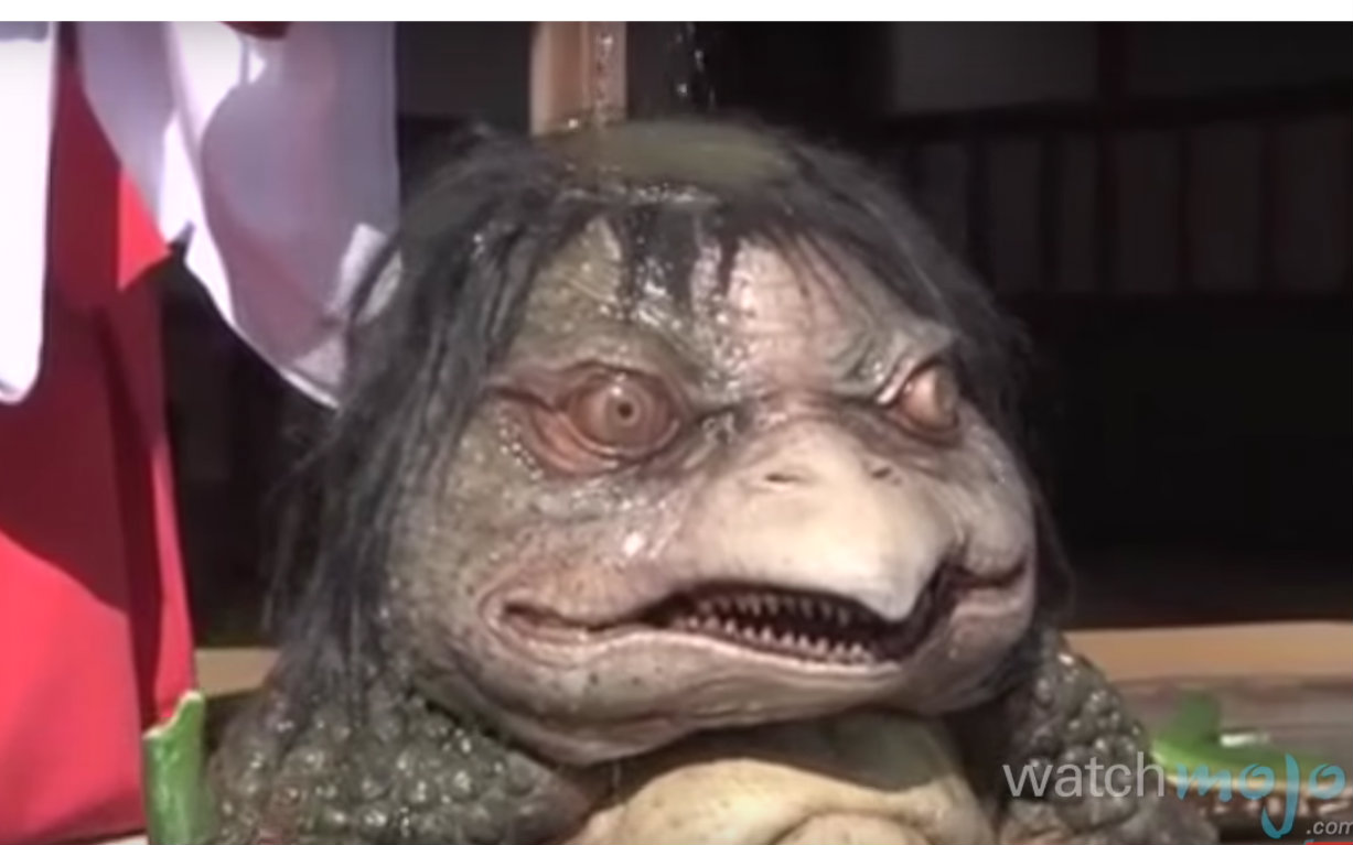 关于外国人民水深火热的视频合集