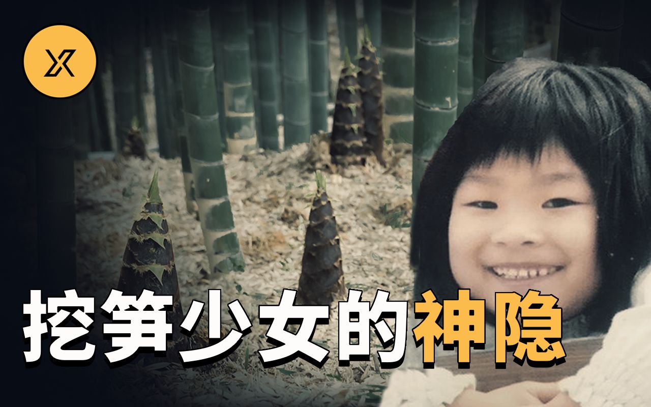 【未解悬案】大西有纪失踪事件，与家人在山里参加活动时神秘失踪