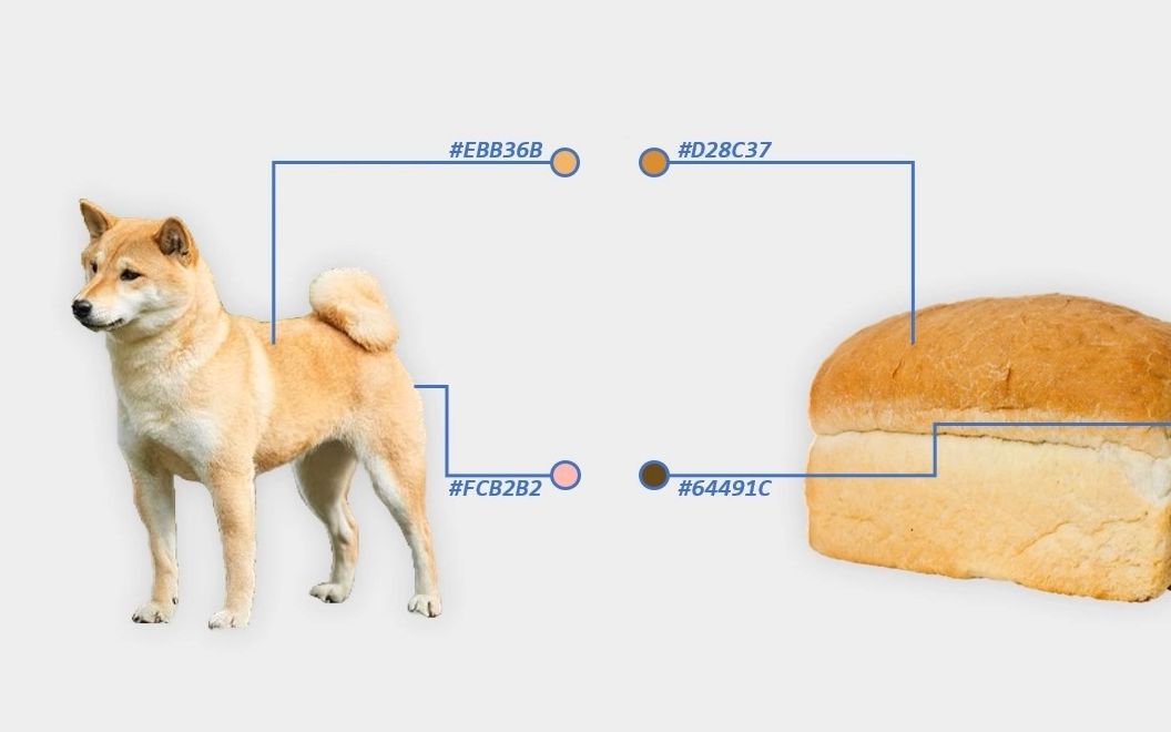 【干货】如何分辨柴犬和面包