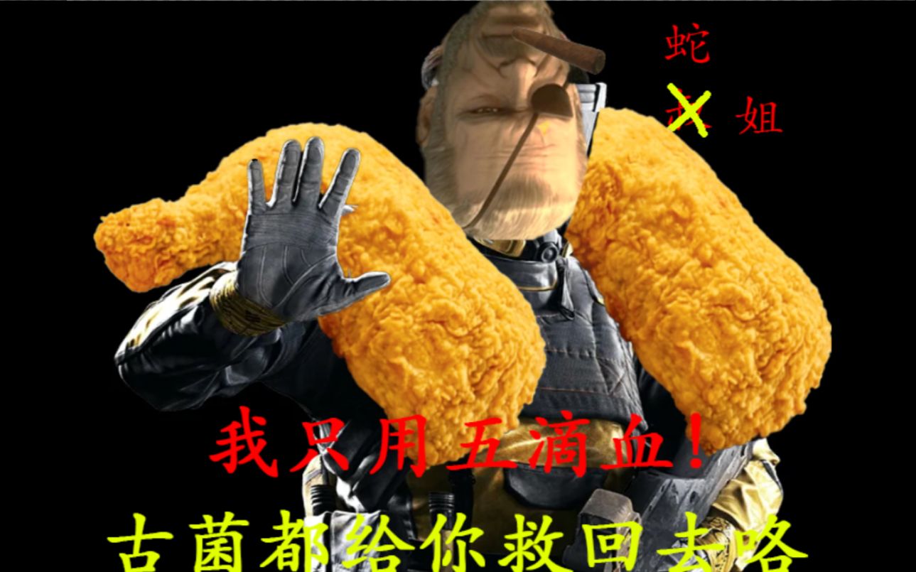 合金装备异种在恐怖阿拉斯加超市买炸鸡的finka