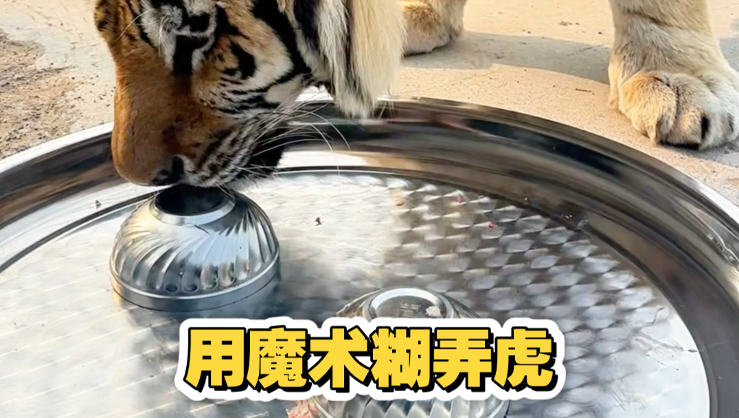 它的规矩就是规矩...