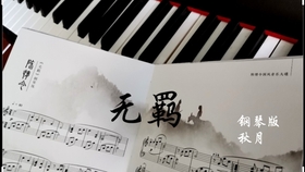 流浪兄弟电子琴曲谱_电子琴曲谱(3)