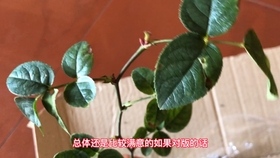 087e28e26ceb19559afb50a30c9ccff0f49289e6.jpg@280w_158h_1c_100q.jpg