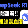 【无需部署! 手机端免费使用DeepSeek满血版，拒绝服务器繁忙