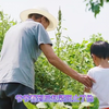 小孩撒尿，撒在自家祖坟上