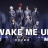 【花千诚】《WAKE ME UP》-无限王者团翻唱