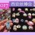 【西安VLOG】2017丝绸之路国际博览会