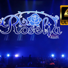 黑叫！BLACK SHOUT  Roselia ASL2017 4K60FPS 自制字幕