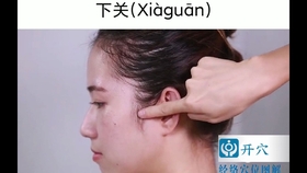 08d10496fce9a0c6d9deb8f4c6e6b7fb1166a0bb.jpg@280w_158h_1c_100q.jpg