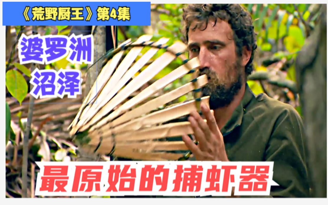 荒野厨王挑战婆罗洲沼泽最原始的捕虾工具竹筒闷大虾