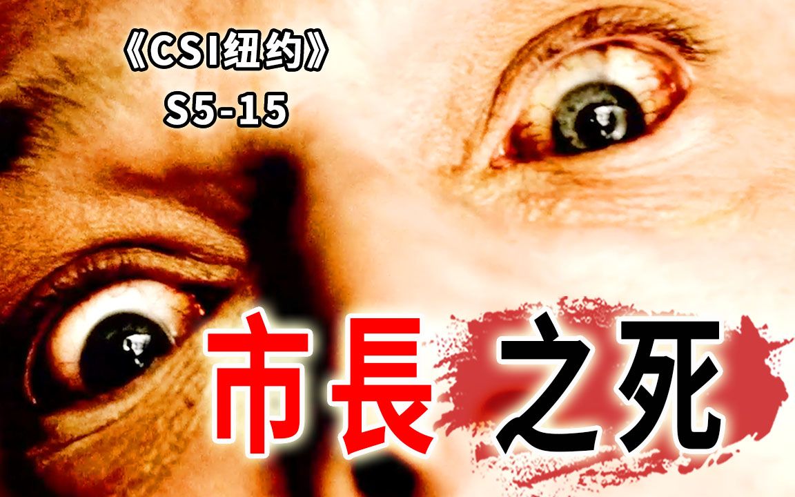 副市长惨死慈善晚宴，敲骨吸髓，德不配位终遭报应《CSI纽约》S5-15
