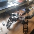3d打印制作的六足蜘蛛机器人完美测试