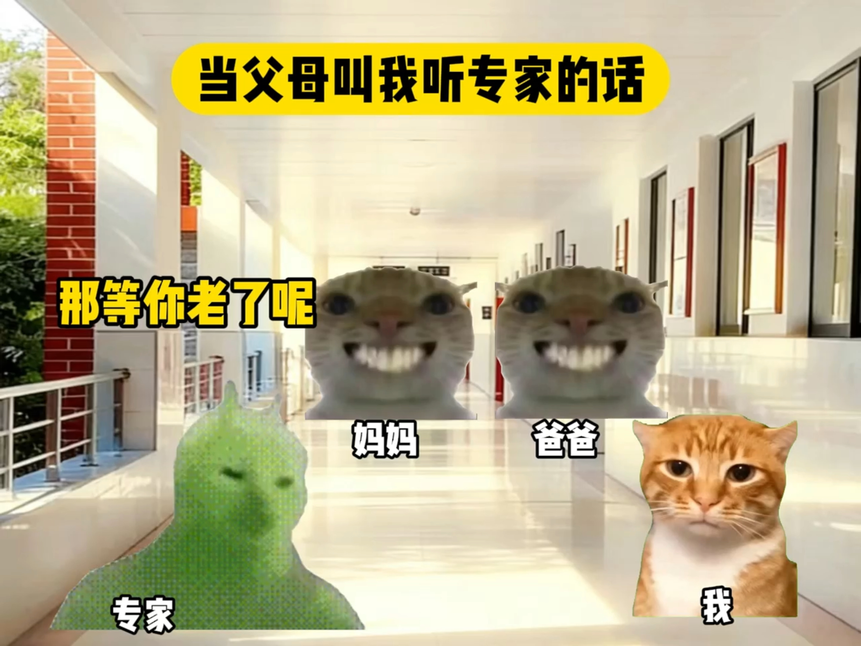 当父母叫我听专家的话