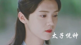 北斗至尊短剧演员的璀璨之路，北斗至尊，演员璀璨之路的崛起