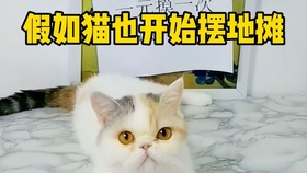 嘻嘻小猫 09381aa7cbce0e5d8dc5c6d1540b2f0c483739eb.jpg@280w_158h_1c_100q.jpg
