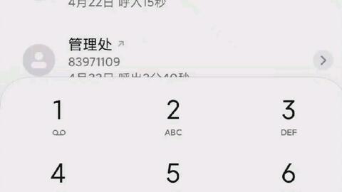 小米拨号音曲谱_小米11(2)