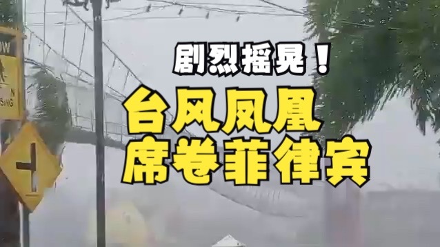 风洞测试！超强台风凤凰席卷菲律宾，一吊桥剧烈摇晃