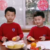 自然大揭秘：和孩子们一起探索大自然