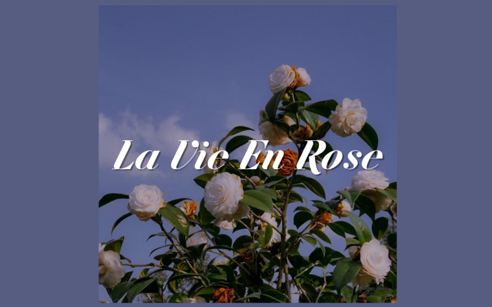 La Vie En Rose (玫瑰人生 英文版)——无课之人疯狂更新弹唱