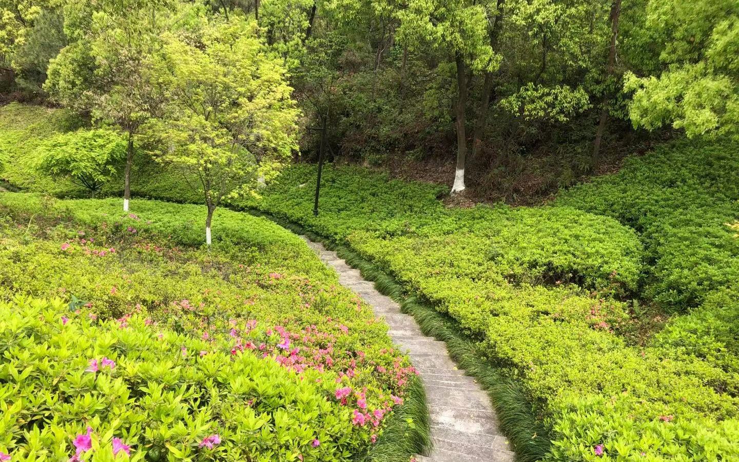 龙飘飘怀旧金曲-《让我默默离开》经典旋律，满是回忆？