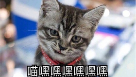 09a09cd0788dd4be25b6a7f7234fbe5dfb1f58aa.jpg@280w_158h_1c_100q.jpg