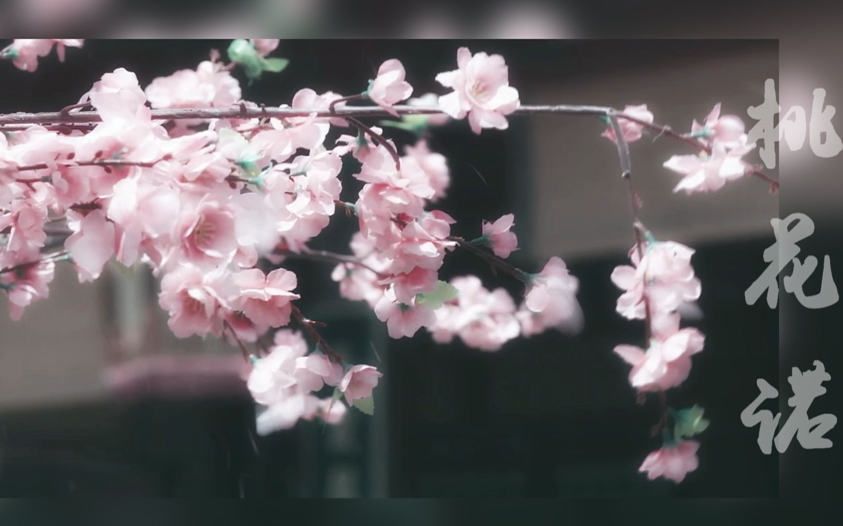 【古装女子群像】桃花诺