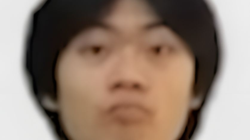 你看懂了什么