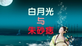 歌曲燕无歇曲谱_燕无歇曲谱
