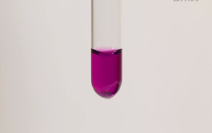 实验8 探究物质的氧化性或还原性