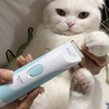 给猫猫剃脚毛有多难？急得小猫都开口说话了