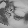 【科普向】猫为啥总拿屁股对着你？Why Does Your Cat Put Their Butt In Your