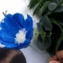 纸花教程视频：今天教你做高级色的爪叶菊