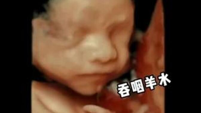 怎么看了解胎儿发育还不好，这个数据好，宝宝出生后可能是个大高个哦！