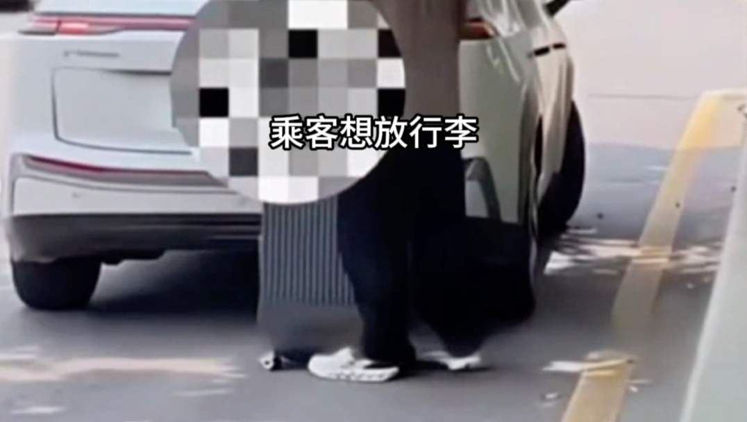 乘客吐槽，让司机搬行李跟触犯天条似的