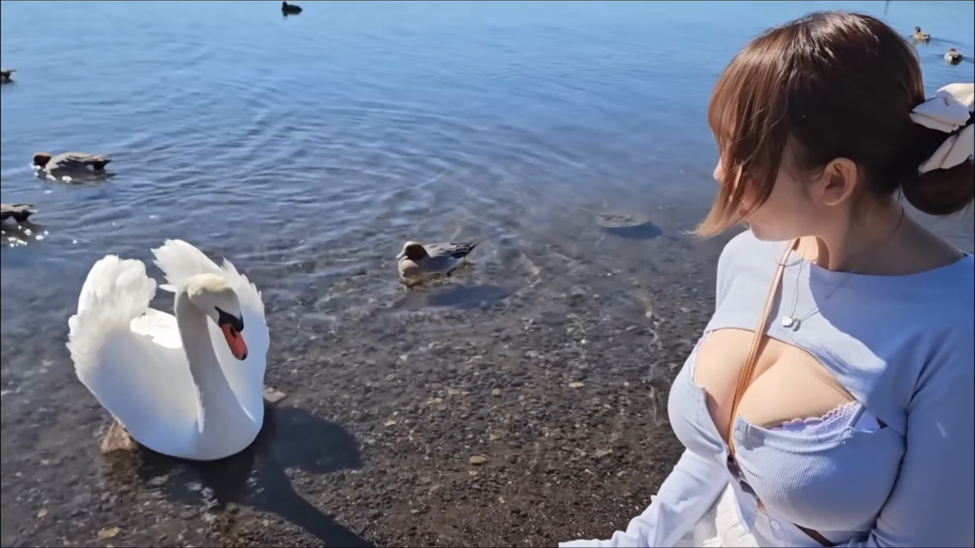 Go to Mt. Fuji, Japan on National Day to see the Great White Swan