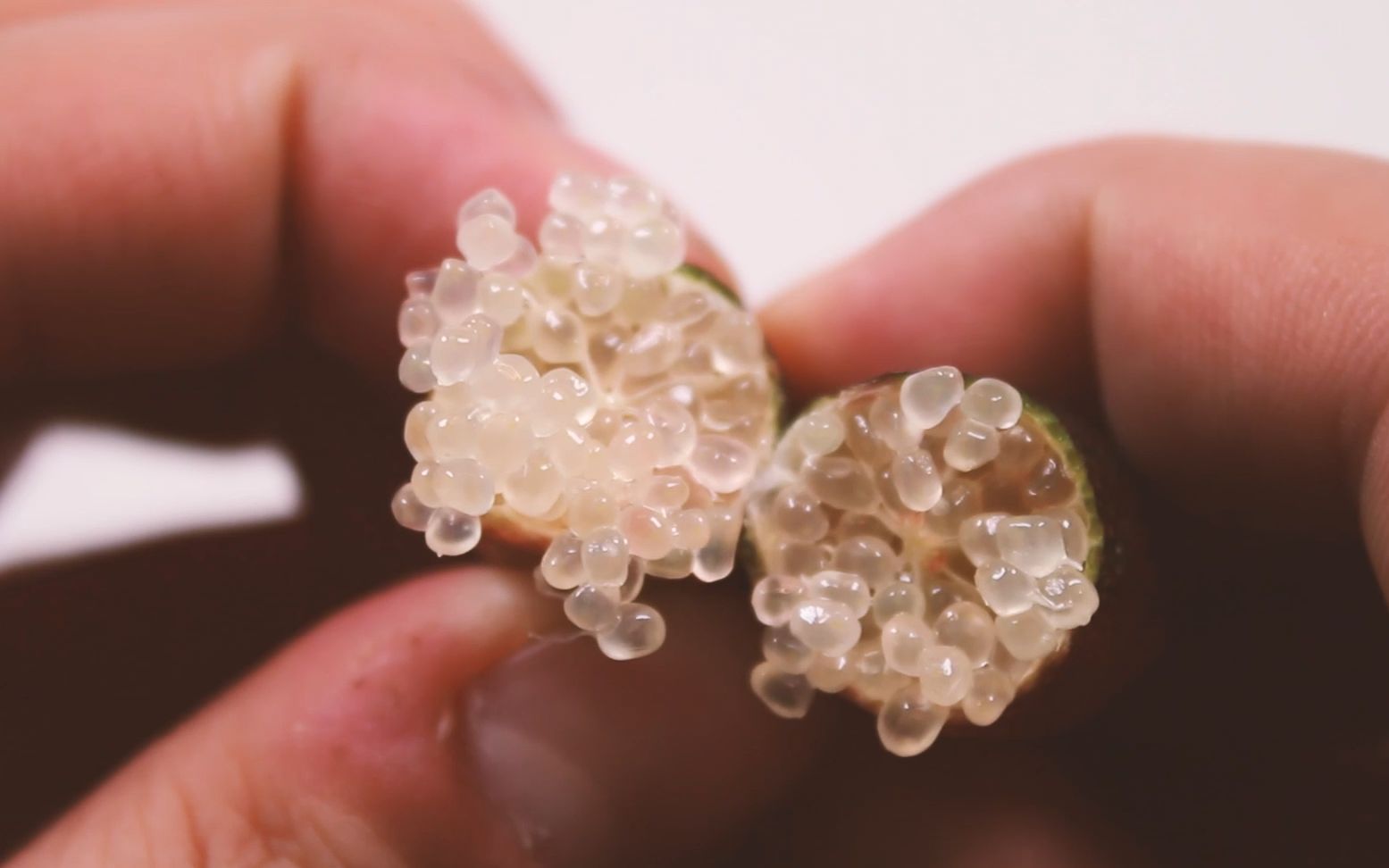 试吃世界上最贵的水果“手指柠檬”，800多一斤，水果中的鱼子酱