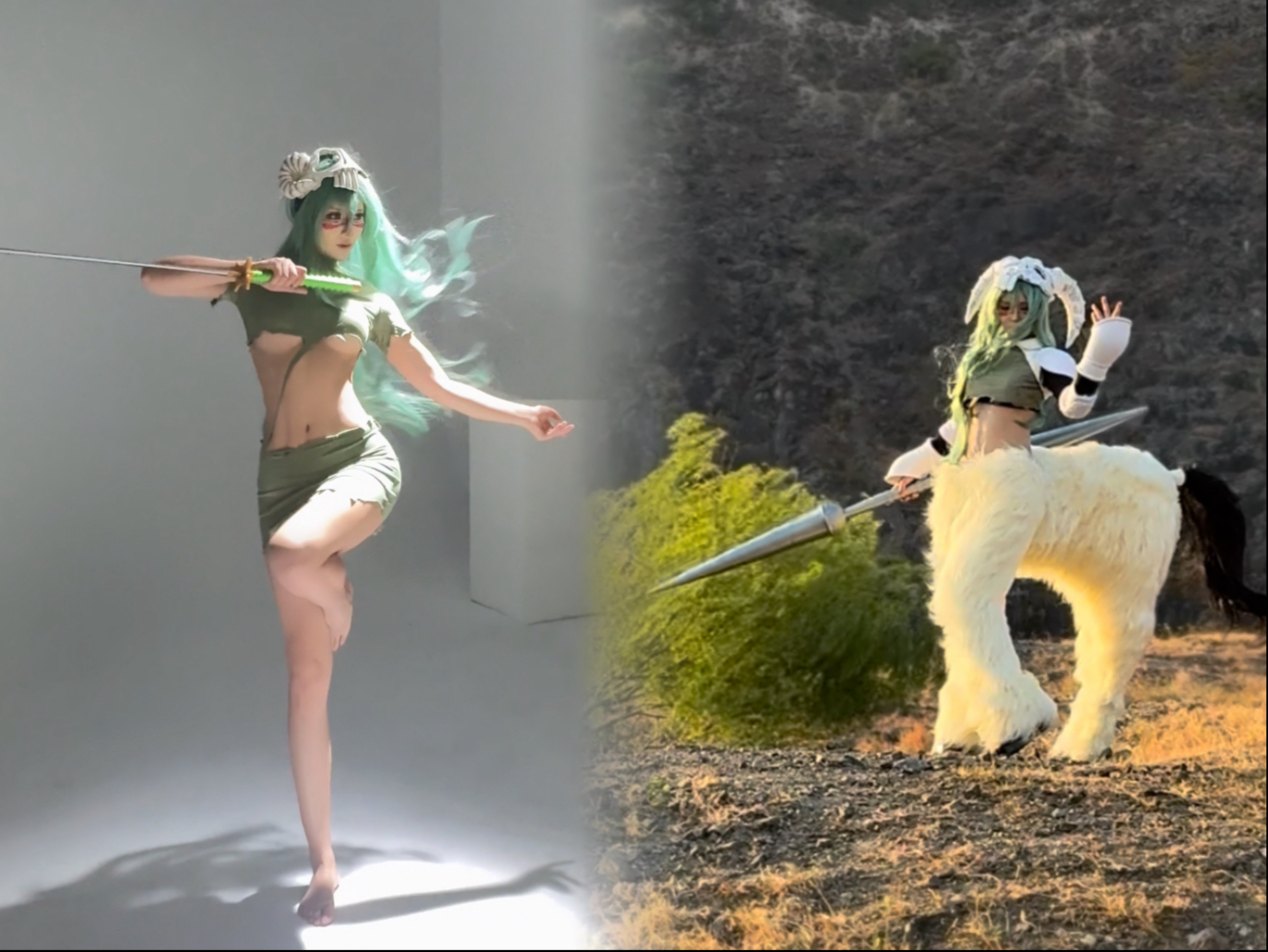 It's okay to trim sheep's hooves in the wild, but when you turn your head to photography, you get whisked away by a dog frenzy.../vlog