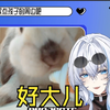 【理想_ideal】姨姨和她的3斤好大儿来拜年啦