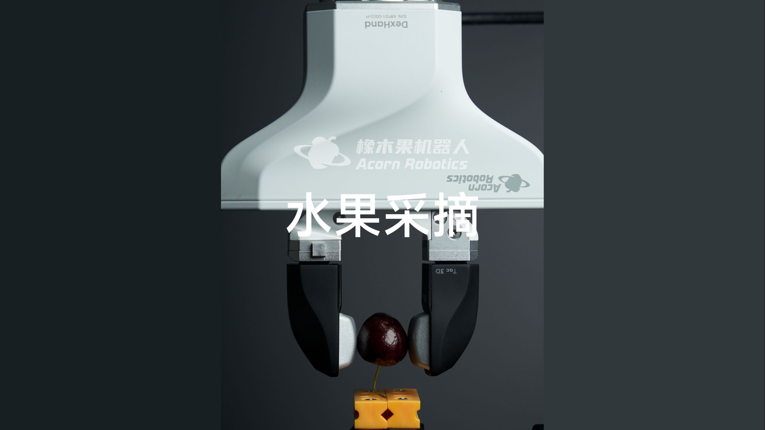 让机器人为你摘下一颗樱桃~