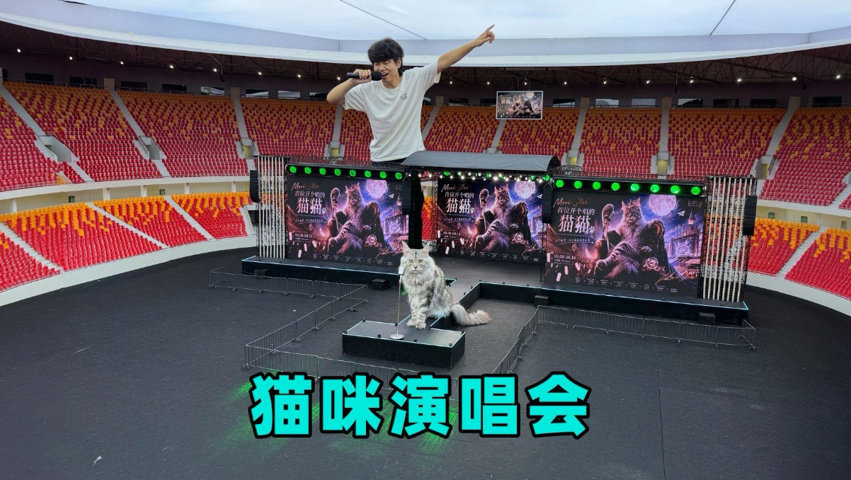 花四个月时间做了个猫咪演唱会场馆