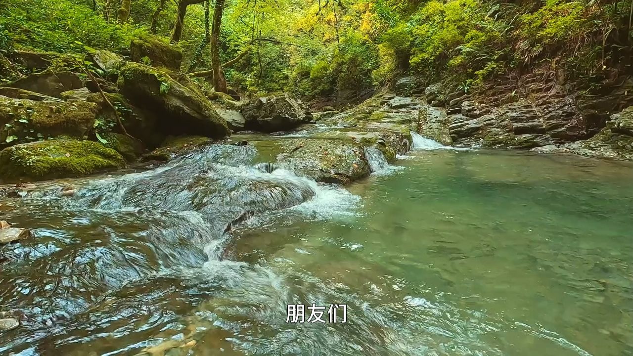 人生孤苦艰难如何应对？这或许是真我对你眷顾的体现！无依无靠，反成善报！