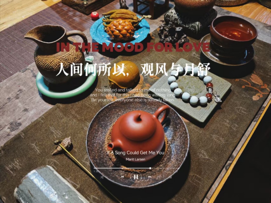 人生何所以，观风与月舒。