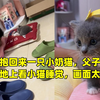 妈妈抱回来一只小奶猫，父子俩一起趴地上看小猫睡觉，画面太温馨