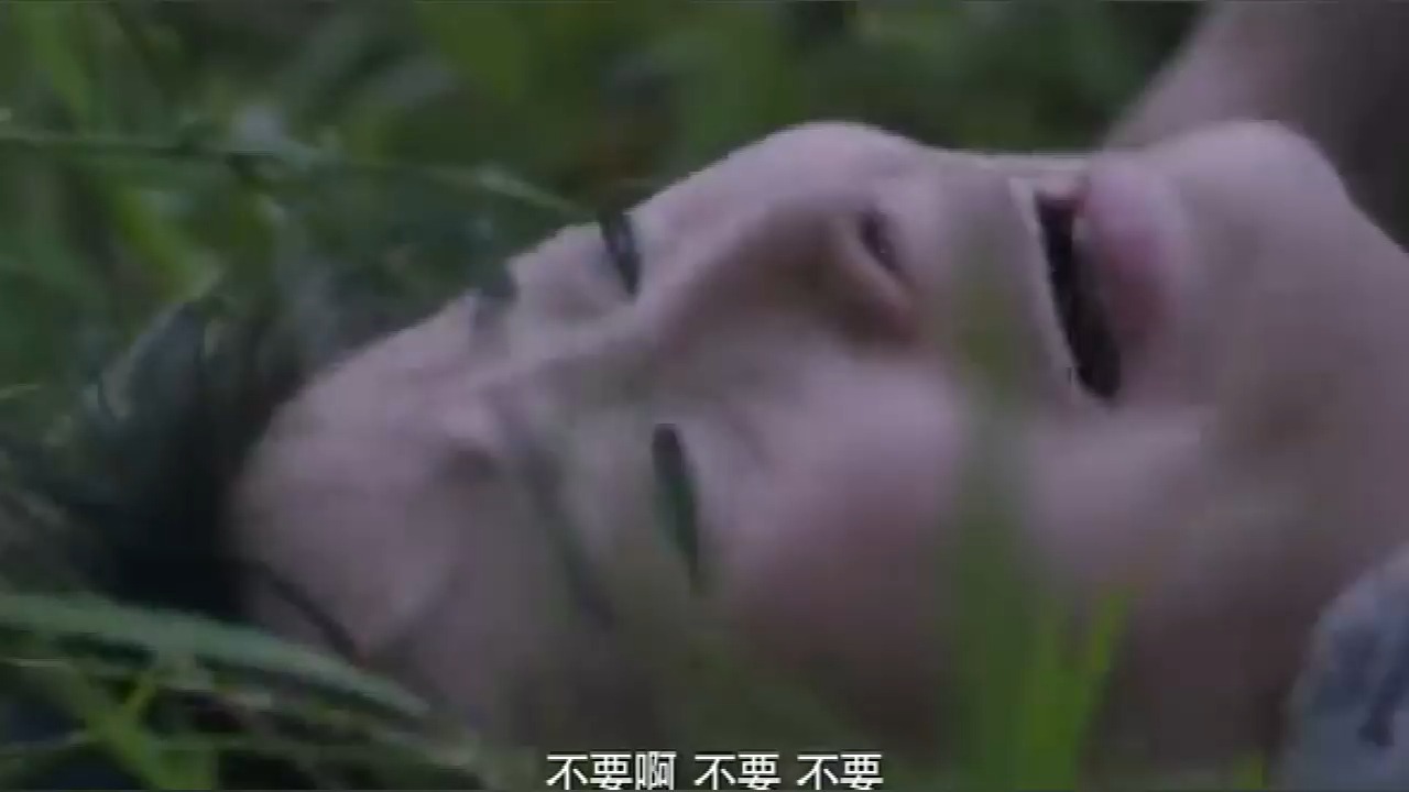 姑娘山上采药，结果遇上一队鬼子，这下惨了