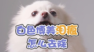 0ae6ad5312bc4ca8f3d7c67371c4631ecbf5494f.jpg@310w_174h_1c_100q.jpg