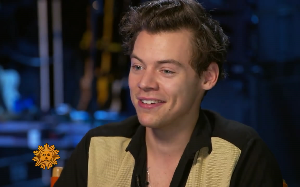 【自制字幕】哈卷harry styles谈one direction