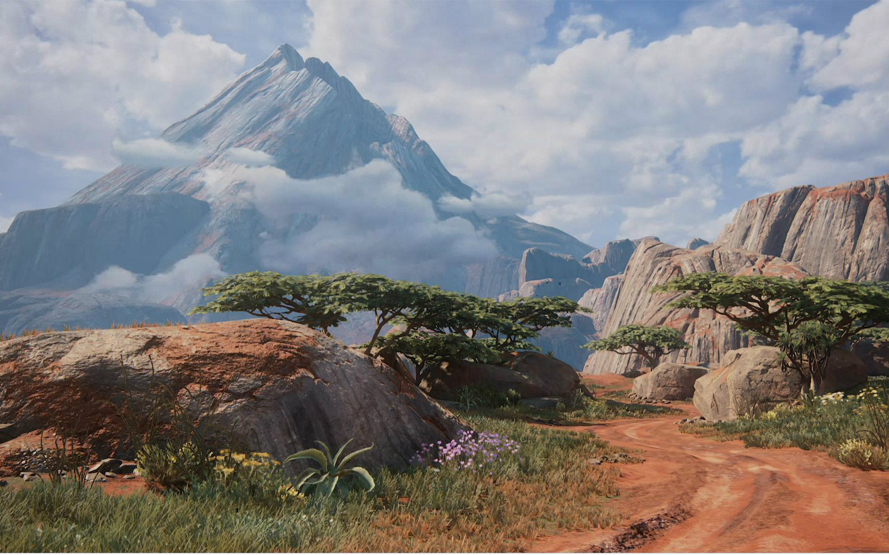 关于黑白熊的视频合集