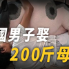 人兽交？泰国男子爱上200斤的母猪，每天同吃同睡，还渴望能生一个宝宝