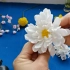 用纸巾制作4款美丽的花，创意手工花制作D
