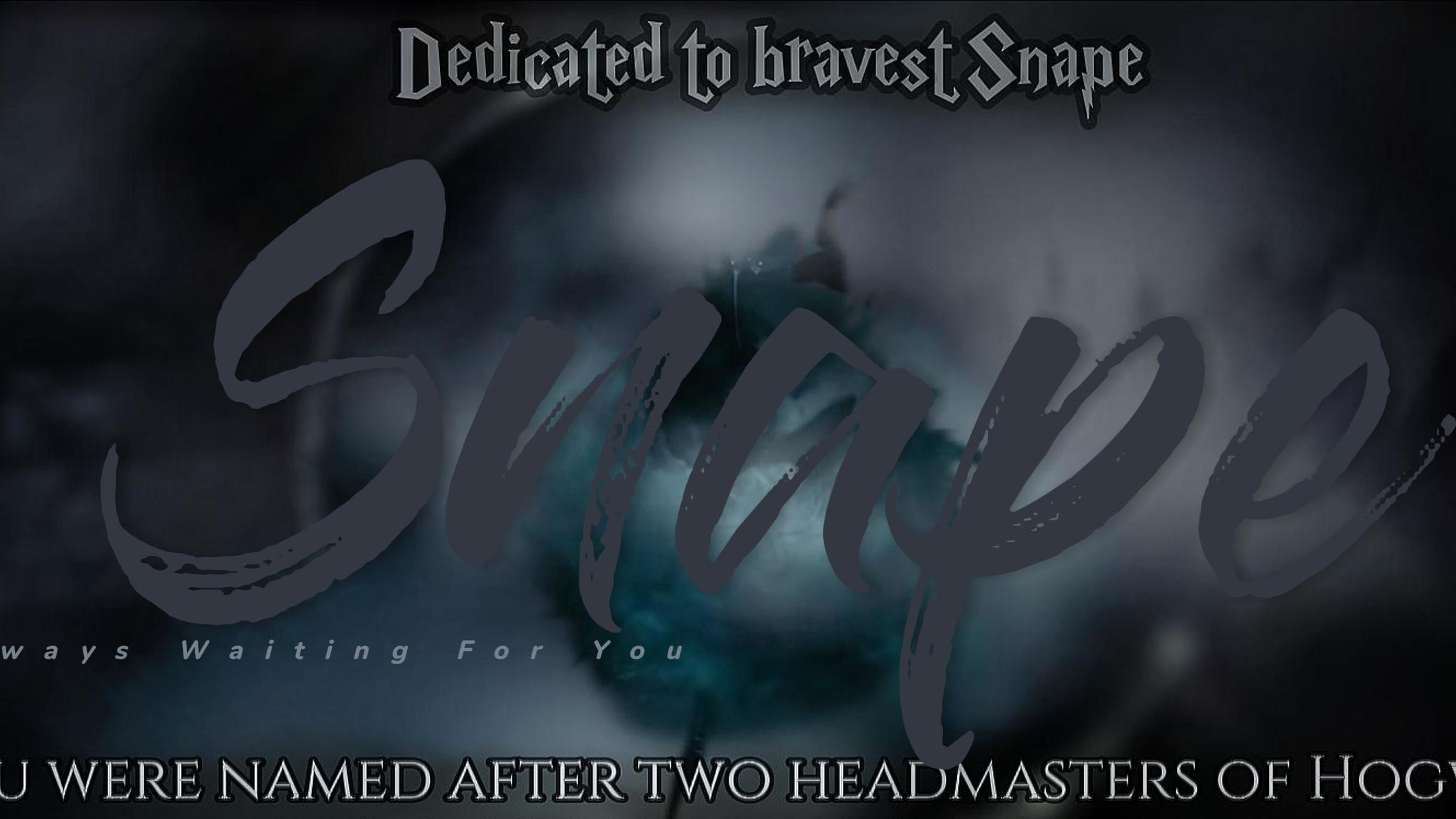 【哈利波特 | 斯内普】谨以此视频致最勇敢的Professor Snape